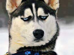 770_482681185237409_8907970991940011564_n