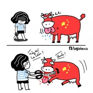 13654397_306625789683570_7577783697605786412_n