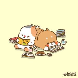 196dd47ffcdb1131e43842e88605fb8d